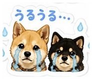 840489647