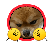 840489750