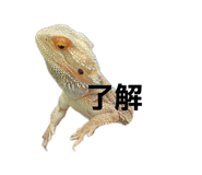 840489971