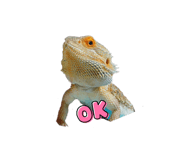 840489973