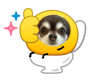 840489977