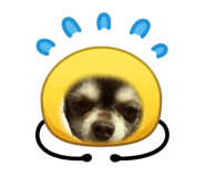 840489981
