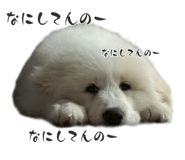 840489990