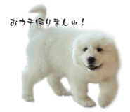 840489993