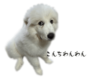840489996
