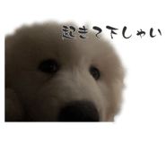 840489998