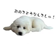 840490000