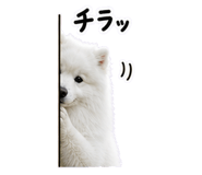 840491912