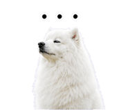 840491913
