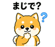 840493771