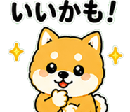 840493790