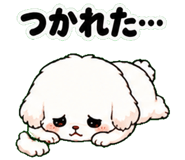 840494686
