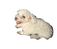 840499608