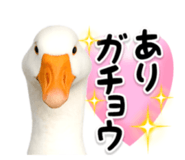 840505013