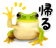 840505020