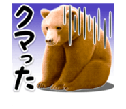 840505023