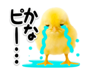 840505025