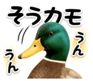 840505026