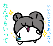 840505333