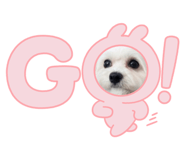 840505397