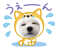 840505402