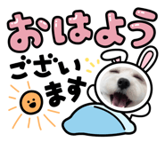840505403
