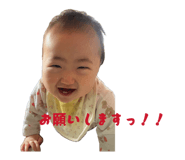 840505557