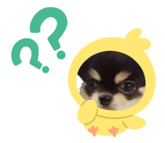 840505672