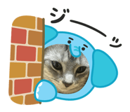 840506244