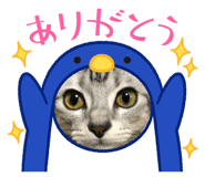 840506252