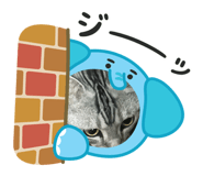 840506256