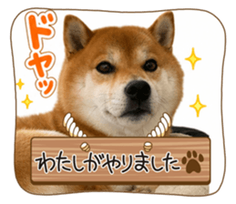 840506347