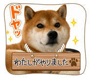 840506347