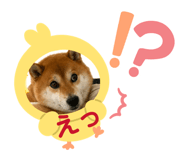 840506350
