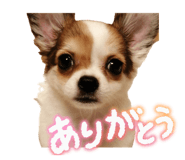 840506646