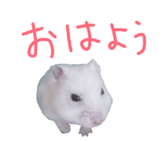 840506833