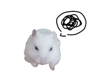 840506834