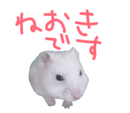 840506840