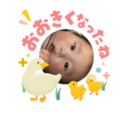 840506861