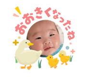 840506981