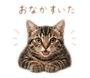 840507821