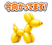 840507954