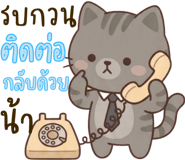 840508622