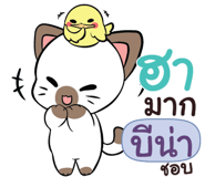 840509500