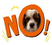 840521934