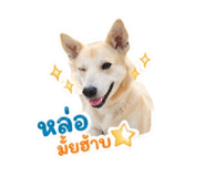 840523194