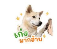 840523201