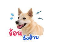 840523202