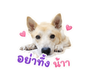 840523203