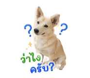 840523205